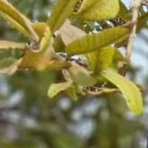 Meet your Posher, Gagan